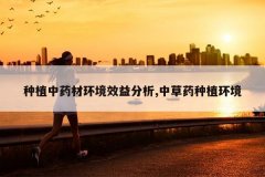 <b>��ֲ��ҩ�Ļ���Ч�����,�в�ҩ��ֲ����</b>