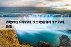 <b>ɳ����ֲ����ҩ��,ɳ�����ʺ���ʲôҩ��,���</b>