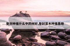 <b>�Ƿ���ֲʲô��ҩ�ĺ�,�Ƿ���ľ��ֲ����</b>