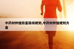 <b>��ҩ����ֲ�¸�·�߹滮,��ҩ����ֲ�滮����</b>