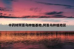 <b>��ҩ�ĺ�������ֲ����,��������ֲ����</b>