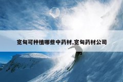 <b>�������ֲ��Щ��ҩ��,����ҩ�Ĺ�˾</b>