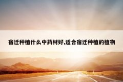 <b>��Ǩ��ֲʲô��ҩ�ĺ�,�ʺ���Ǩ��ֲ��ֲ��</b>