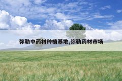 <b>������ҩ����ֲ����,����ҩ���г�</b>