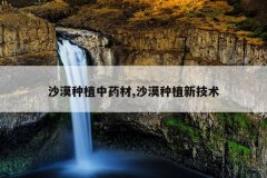 <b>ɳĮ��ֲ��ҩ��,ɳĮ��ֲ�¼���</b>
