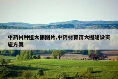 <b>��ҩ����ֲ����ͼƬ,��ҩ��������ｨ��ʵʩ����</b>