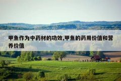 <b>������Ϊ��ҩ�ĵĹ�Ч,�����ҩ�ü�ֵ��Ӫ����ֵ</b>