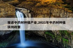<b>�ƽ���ҩ����ֲ��ҵ,2021����ҩ����ֲ��������</b>