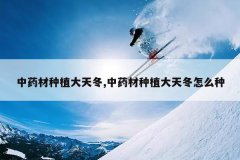 <b>��ҩ����ֲ���춬,��ҩ����ֲ���춬��ô��</b>
