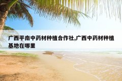 <b>����ƽ����ҩ����ֲ������,������ҩ����ֲ����������</b>
