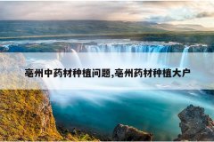 <b>������ҩ����ֲ����,����ҩ����ֲ��</b>