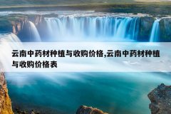 <b>������ҩ����ֲ���չ��۸�,������ҩ����ֲ���չ��۸��</b>