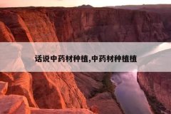 <b>��˵��ҩ����ֲ,��ҩ����ֲֲ</b>