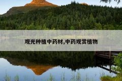 <b>�۹���ֲ��ҩ��,��ҩ����ֲ��</b>