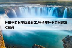 <b>��ֲ��ҩ����Щ��ʡ��,��ֲ������ҩ�ľ���Ч���</b>