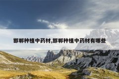 <b>������ֲ��ҩ��,������ֲ��ҩ������Щ</b>