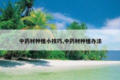 <b>��ҩ����ֲС����,��ҩ����ֲ�취</b>