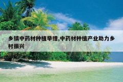 <b>������ҩ����ֲ�ٴ�,��ҩ����ֲ��ҵ�����������</b>