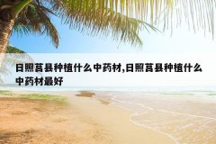 <b>����������ֲʲô��ҩ��,����������ֲʲô��ҩ�����</b>