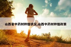 <b>ɽ��ʡ��ҩ����ֲ״��,ɽ����ҩ����ֲ����</b>