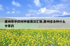 <b>��������ҩ����ֲ����㱨,�����ʺ���ʲô�в�ҩ</b>