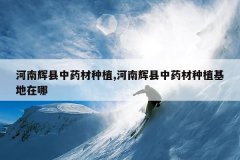 <b>���ϻ�����ҩ����ֲ,���ϻ�����ҩ����ֲ��������</b>