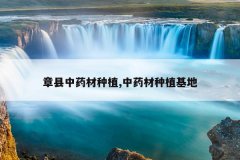 <b>������ҩ����ֲ,��ҩ����ֲ����</b>