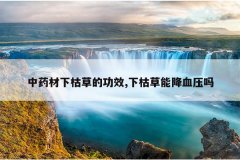 <b>��ҩ���¿ݲݵĹ�Ч,�¿ݲ��ܽ�Ѫѹ��</b>