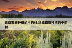 <b>��Ӧ������ֲ����ҩ��,��Ӧ������ֲ����ҩ��</b>