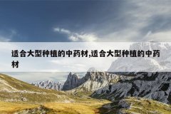 <b>�ʺϴ�����ֲ����ҩ��,�ʺϴ�����ֲ����ҩ��</b>