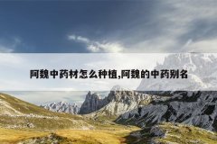<b>��κ��ҩ����ô��ֲ,��κ����ҩ����</b>