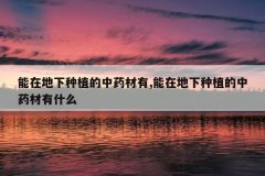 <b>���ڵ�����ֲ����ҩ����,���ڵ�����ֲ����ҩ����ʲô</b>