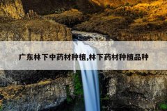 <b>�㶫������ҩ����ֲ,����ҩ����ֲƷ��</b>