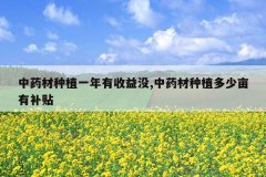 <b>��ҩ����ֲһ��������û,��ҩ����ֲ����Ķ�в���</b>