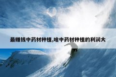 <b>��׬Ǯ��ҩ����ֲ,ɶ��ҩ����ֲ�������</b>