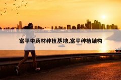 <b>��ƽ��ҩ����ֲ����,��ƽ��ֲ�ṹ</b>