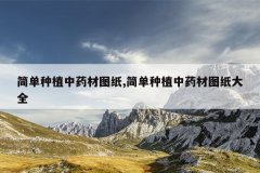 <b>����ֲ��ҩ��ͼֽ,����ֲ��ҩ��ͼֽ��ȫ</b>