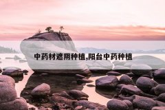 <b>��ҩ��������ֲ,��̨��ҩ��ֲ</b>