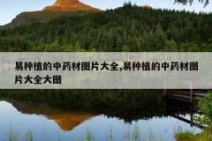 <b>����ֲ����ҩ��ͼƬ��ȫ,����ֲ����ҩ��ͼƬ��ȫ��ͼ</b>