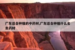 <b>�㶫�ʺ���ֲ����ҩ��,�㶫�ʺ���ֲʲô����ҩ��</b>