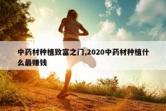 <b>��ҩ����ֲ�¸�֮��,2020��ҩ����ֲʲô��׬Ǯ</b>