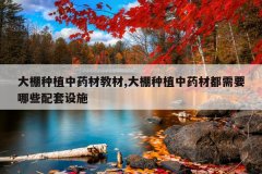 <b>������ֲ��ҩ�Ľ̲�,������ֲ��ҩ�Ķ���Ҫ��Щ������ʩ</b>