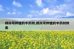 <b>�Ĵ�����ֲ����ҩ��,�Ĵ�����ֲ����ҩ������</b>