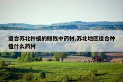 <b>�ʺ��ձ���ֲ��׬Ǯ��ҩ��,�ձ������ʺ���ֲʲôҩ��</b>