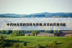 <b>��ҩ�Ĵ����Ĺ�Ч������,������ҩ�ù���</b>