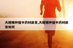 <b>���ģ��ֲ��ҩ��ǰ��,���ģ��ֲ��ҩ��ǰ�����</b>