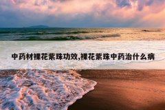 <b>��ҩ���㻨���鹦Ч,�㻨������ҩ��ʲô��</b>
