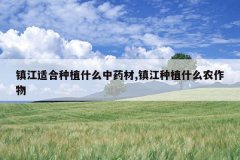 <b>���ʺ���ֲʲô��ҩ��,����ֲʲôũ����</b>