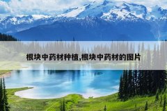 <b>������ҩ����ֲ,������ҩ�ĵ�ͼƬ</b>