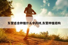 <b>��Ӫ�ʺ���ֲʲô��ҩ��,��Ӫ��ֲ�ṹ</b>